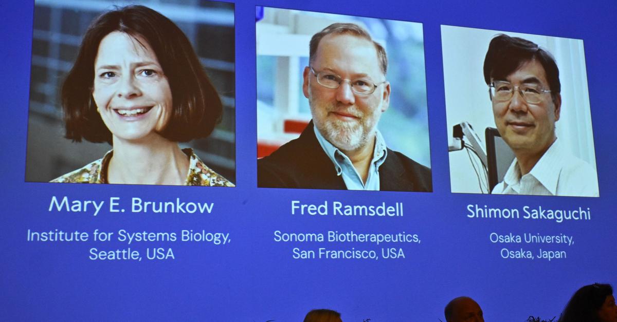 Medizin-Nobelpreis für Immunforscher aus Japan und den USA