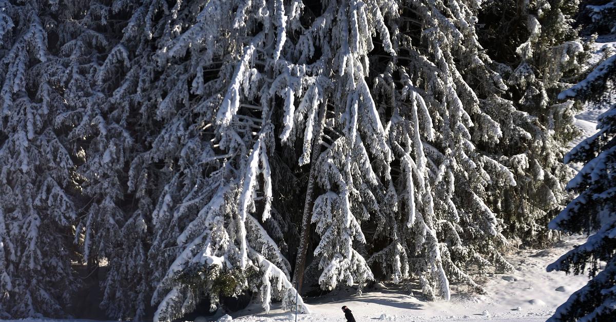 Weiße Weihnachten – nur ein Mythos und bald eh Geschichte?