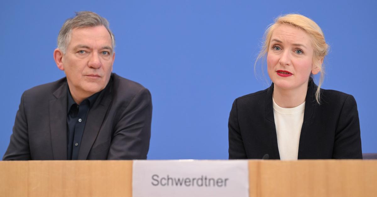 Linken-Spitze kritisiert Israel-Beschluss der Parteijugend