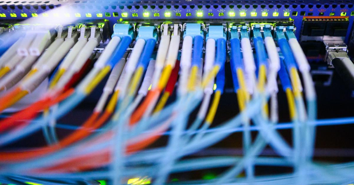 Sorge-um-Datenzugriff-Was-passiert-bei-einer-AfD-Regierung-