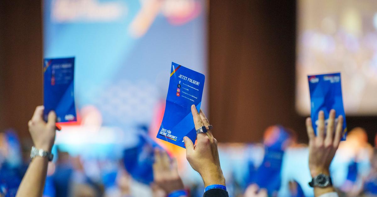 AfD gründet neue Jugendorganisation Generation Deutschland