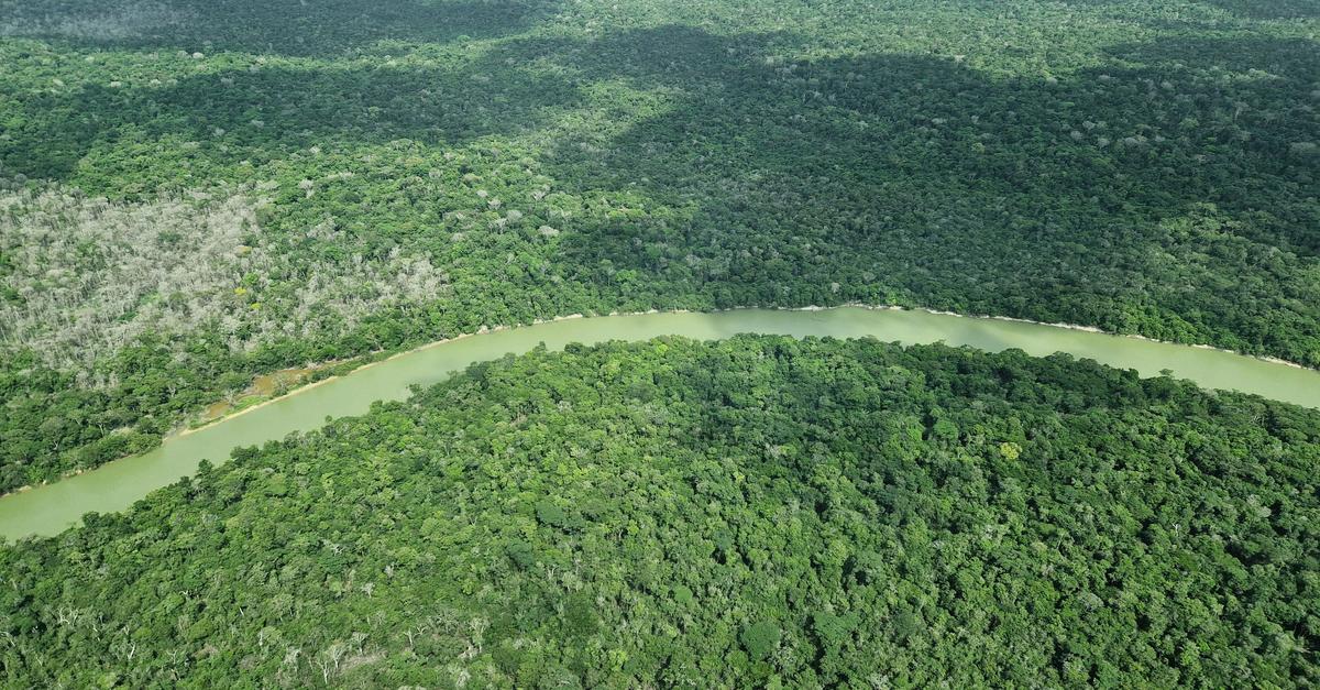 Brasilien: Deutschland gibt eine Milliarde für Tropenfonds