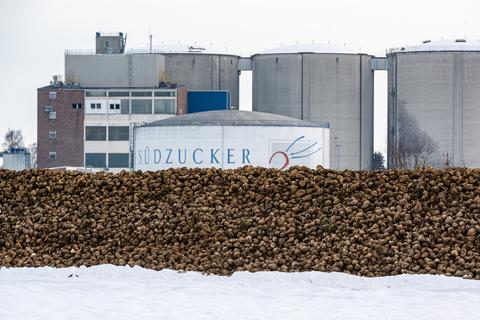 Die Firma Südzucker mit dem Werk im rheinhessischen Offstein gehört zu den Betrieben, die eine Notfallzulassung für das Insektizid bekommen haben.  Foto: dpa