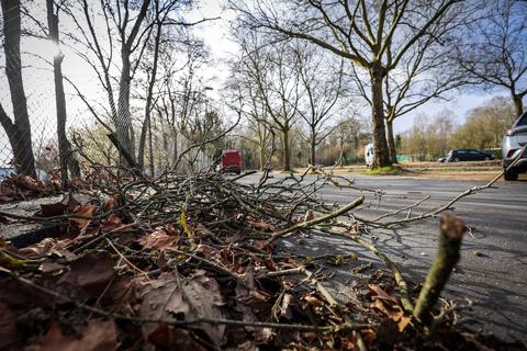 Starke Auswirkungen hatte der Sturm in Mainz bisher nicht. An der Bezirkssportanlage in Mainz-Mombach liegen Äste auf der Straße.  Foto: Lukas Görlach