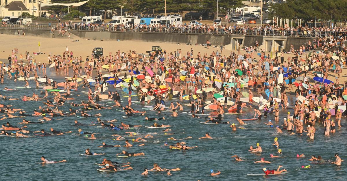 Australiens Regierung will massenhaft Schusswaffen einziehen