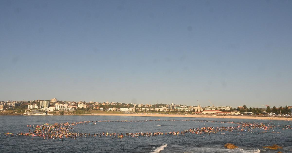 Hunderte Surfer gedenken am Bondi Beach der Terroropfer