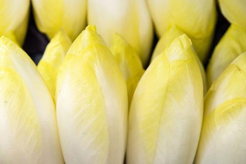 Viel Weiß und eine hellgelbe Spitze: Sieht Chicorée so aus, ist er vergleichsweise mild im Geschmack. © Andrea Warnecke/dpa-tmn