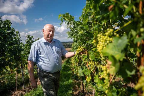 Reinhard Antes ist Spezialist für die Veredelung von Reben – nicht nur für den Weinbau. Archivfoto: Sascha Lotz