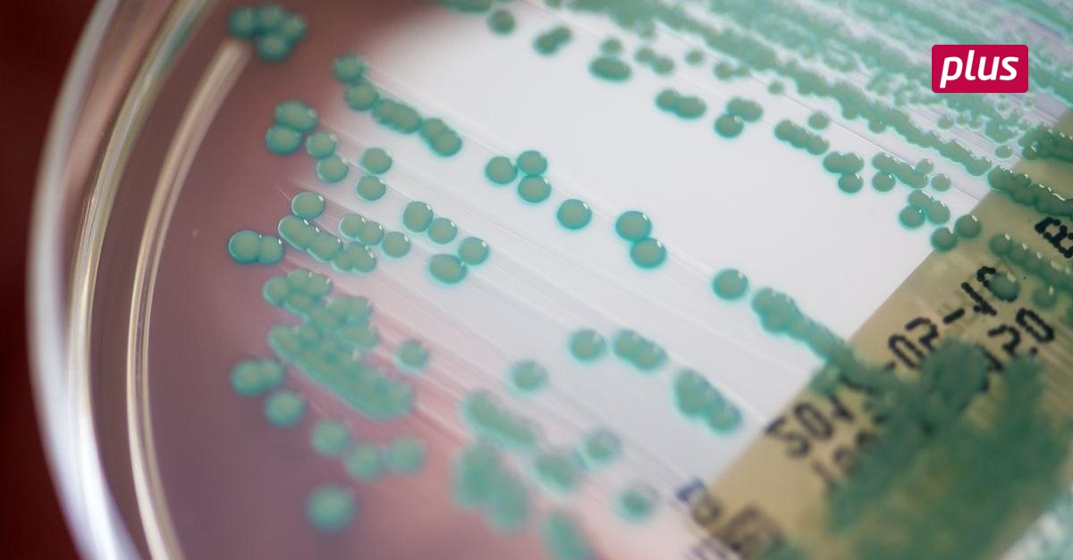 Wenn das Antibiotikum nicht mehr wirkt