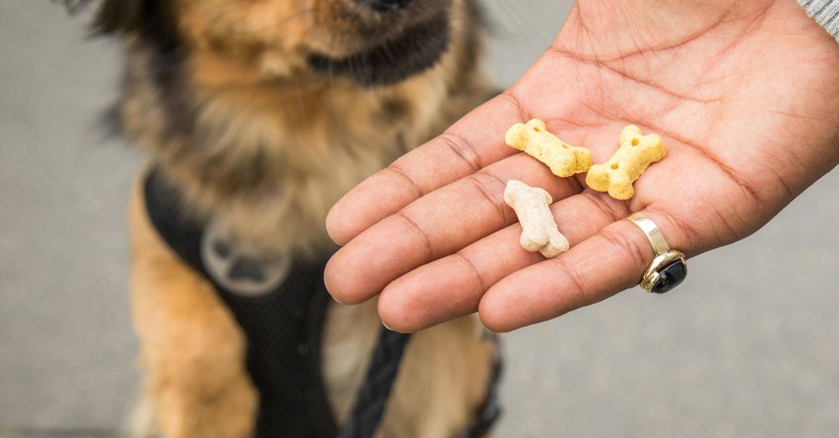 Di-t-statt-Snacks-Ist-mein-Hund-zu-dick-