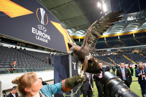 Der Eintracht-Wappenvogel, Adler Attila, fliegt durch Europa. Und RTL reibt sich die Hände, dass die Mediengruppe sich die TV-Rechte an der Europa League gesichert hat. Foto: dpa 