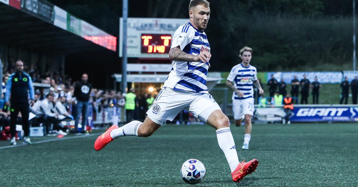 Die Duisburger Zebras Galoppieren Durch Die 3. Liga - 6gnxbft