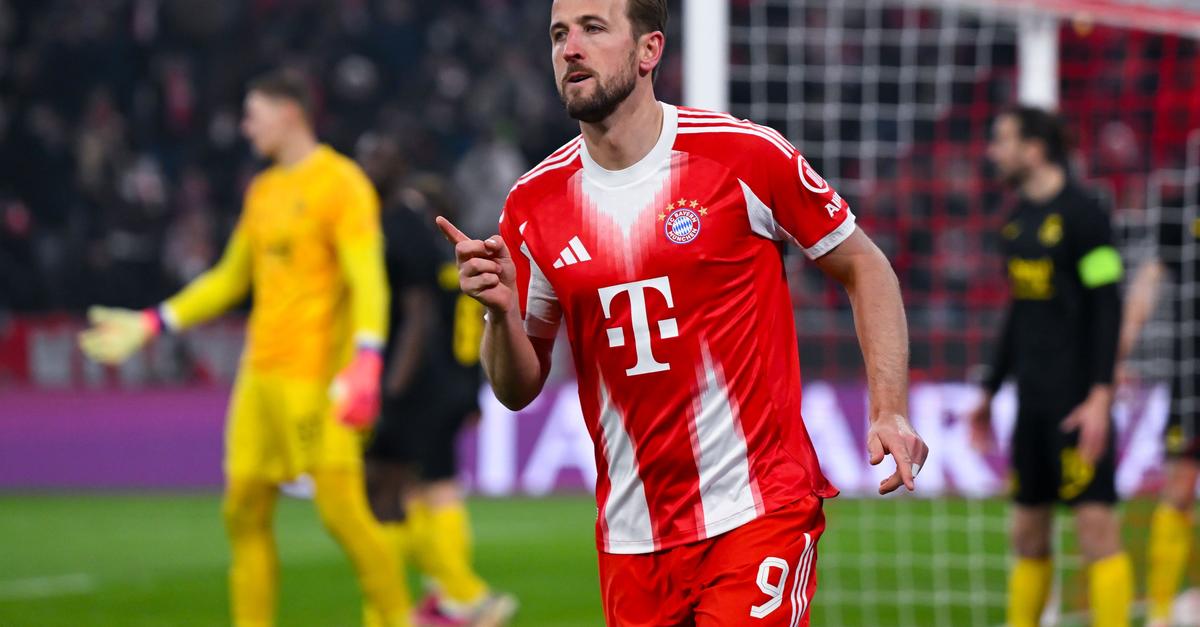 Trotz-Elfer-Fehlschuss-Kanes-Schnitzel-Serie-h-lt