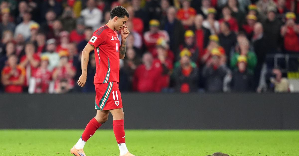 Ratte stört WM-Quali-Spiel - Courtois' Fangversuch misslingt