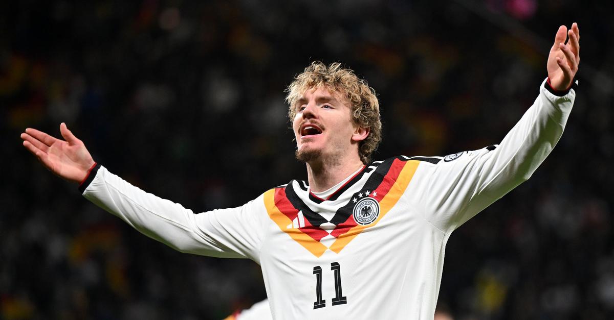 -Gehirn-ist-gemein-Woltemade-liest-nichts-mehr-ber-sich