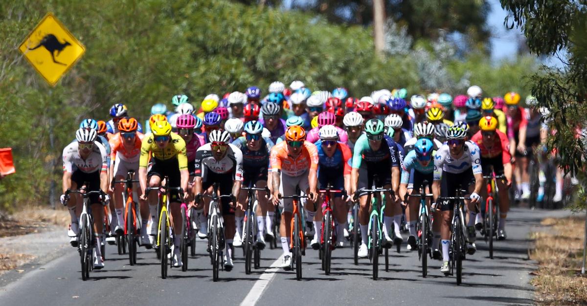 Trotz-Crash-mit-K-nguru-Vine-gewinnt-Tour-Down-Under