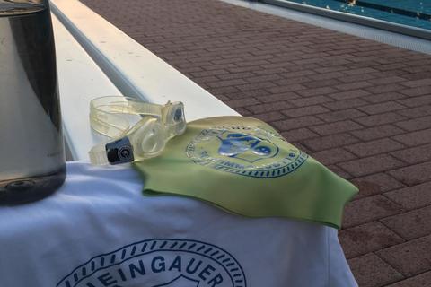 Der Rheingauer Schwimmclub braucht dringend Verstärkungen in der Vorstandsmannschaft. Das aktuelle Team hinter den Kulissen kann die Arbeit nicht mehr stemmen. © Rheingauer Schwimmclub