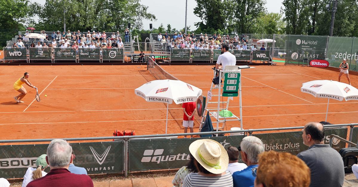 Baseball: Hünstetten Storm Opens Bundesliga Season Against Bonn – Phil Meyer Leads the Charge