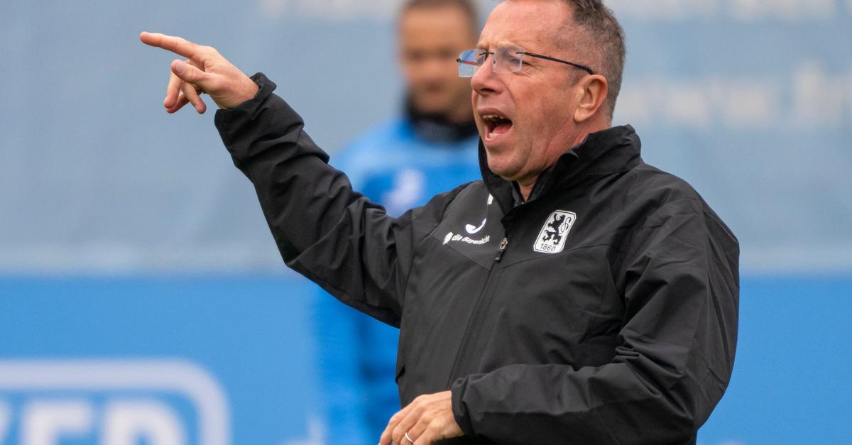 „Erschreckend“: Rassismusvorfall bei 1860-Sieg gegen Cottbus