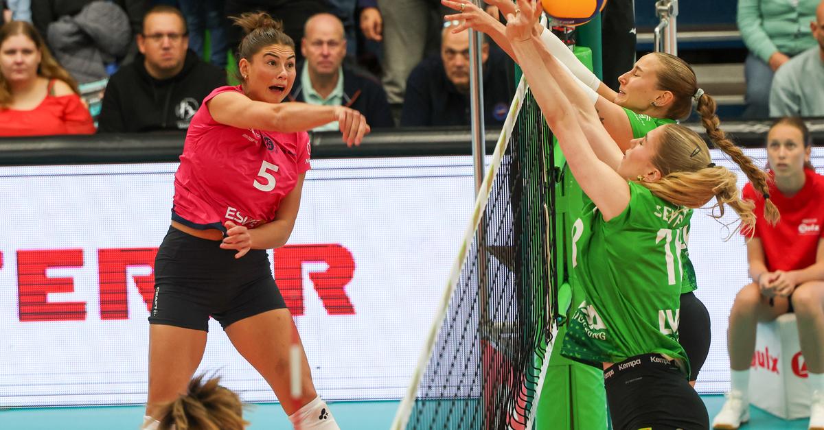 Courage despite defeat: VC Wiesbaden shows potential at season opener in ...