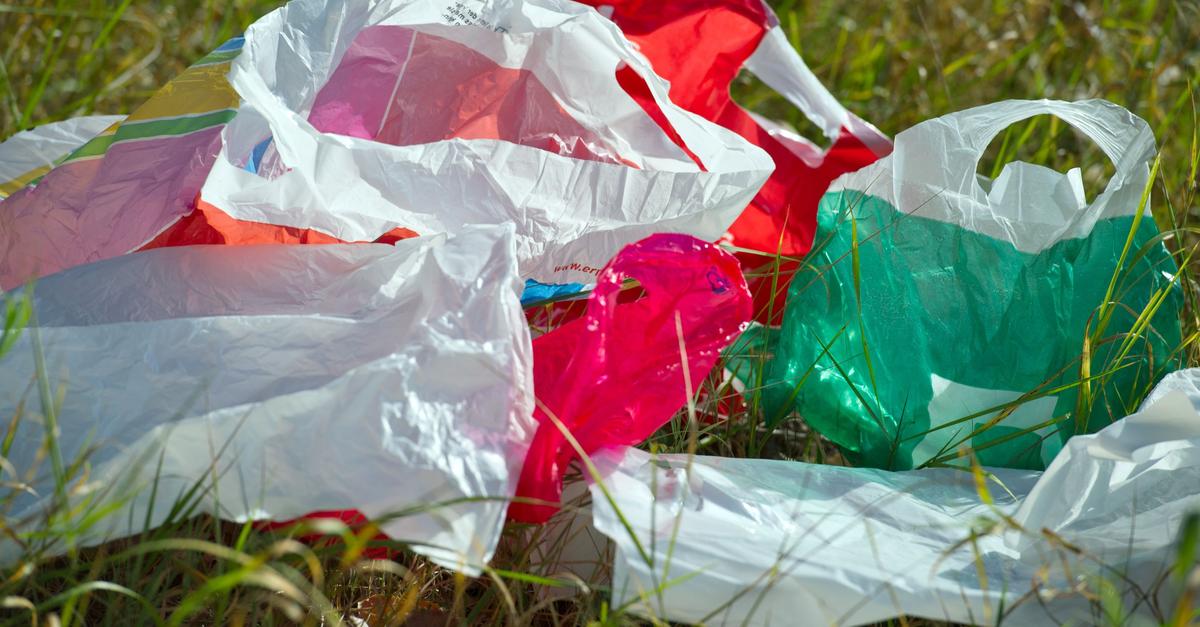 Umweltsch-tzer-fordern-sch-rferes-Plastikt-ten-Verbot