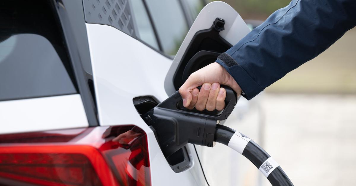 Wir-und-das-Klima-Flaute-in-Wiesbaden-Hitze-in-Worms