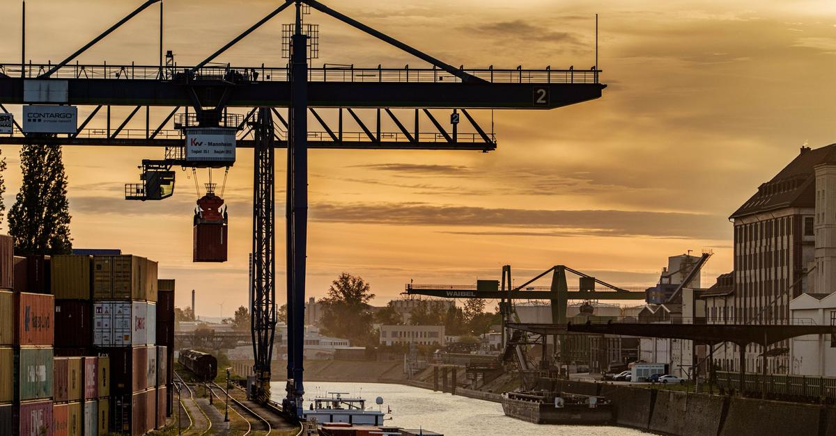 Hanauer Hafen: Rhenus darf 100.000 Tonnen gefährliche Abfälle im Jahr ...