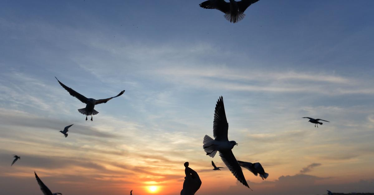 Sommerurlaub-gefragt-Dertour-meldet-starkes-Buchungsplus